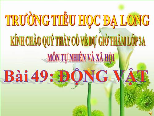 Bài 49. Động vật