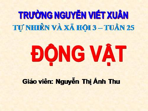 Bài 49. Động vật