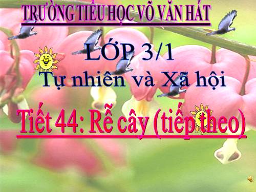 Bài 44. Rễ cây (tiếp theo)