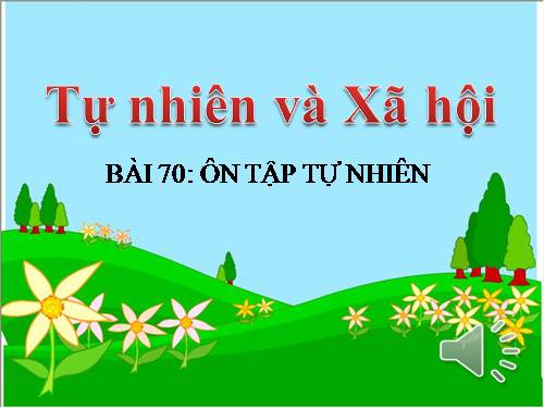 Bài 69 - 70. Ôn tập và Kiểm tra Học kì II