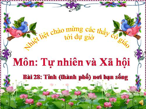 Bài 27-28. Tỉnh (thành phố) nơi bạn đang sống