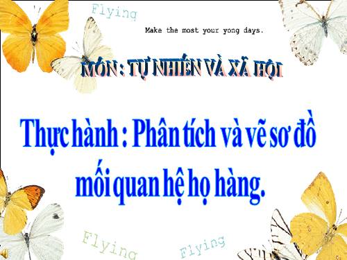 Bài 21-22. Thực hành: Phân tích và vẽ sơ đồ mối quan hệ họ hàng