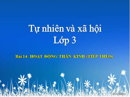 Bài 14. Hoạt động thần kinh (tiếp theo)