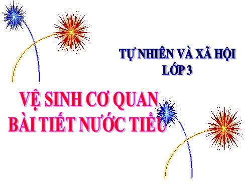 Bài 11. Vệ sinh cơ quan bài tiết nước tiểu