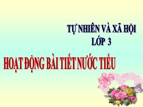 Bài 10. Hoạt động bài tiết nước tiểu