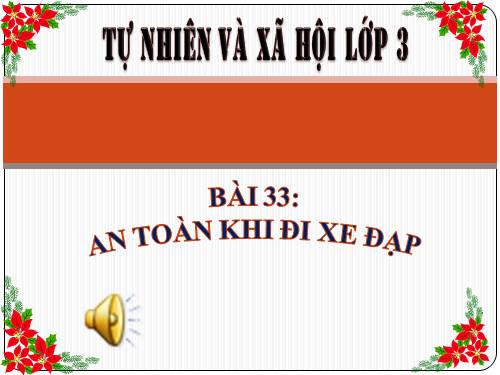 Bài 33. An toàn khi đi xe đạp