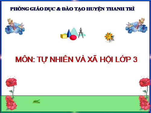 Bài 7. Hoạt động tuần hoàn