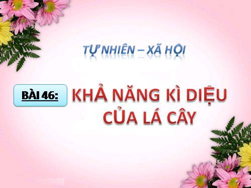 Bài 46. Khả năng kì diệu của lá cây