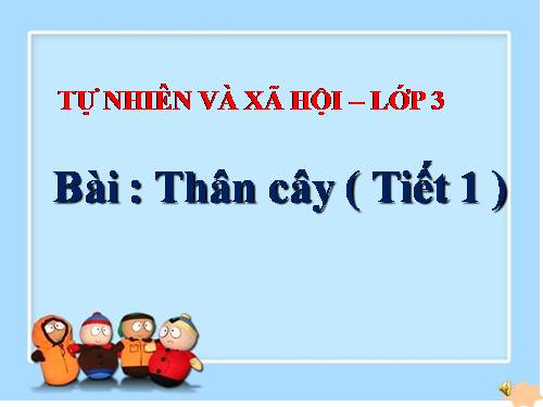 Bài 41. Thân cây