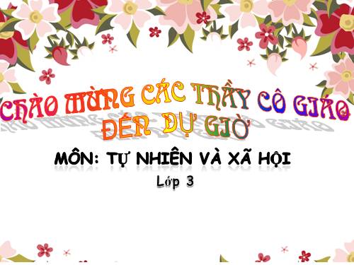 Bài 39. Ôn tập: Xã hội