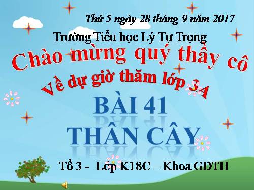 Bài 41. Thân cây