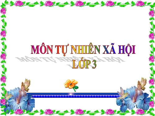 Bài 39. Ôn tập: Xã hội