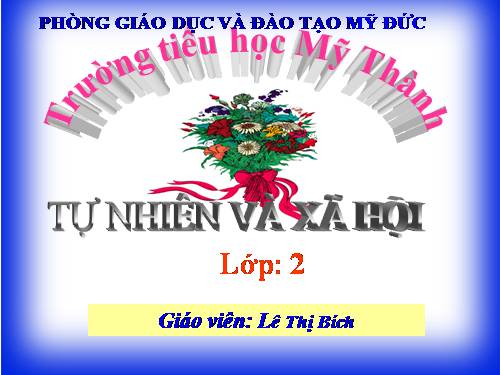 Bài 12. Cơ quan thần kinh