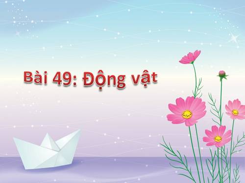 Bài 49. Động vật