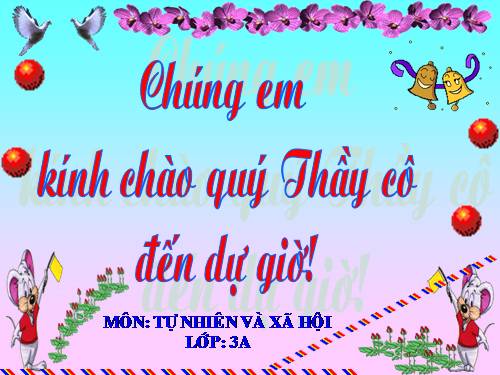 Bài 26. Không chơi các trò chơi nguy hiểm