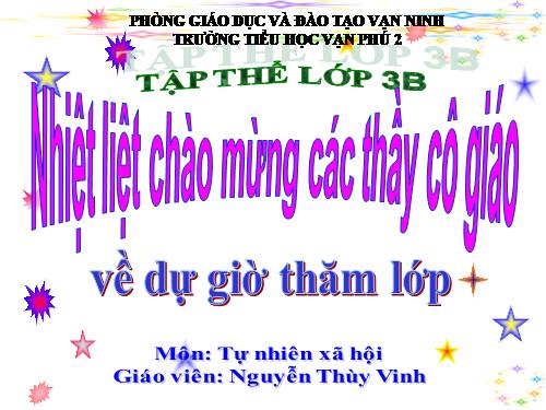 Bài 19. Các thế hệ trong một gia đình