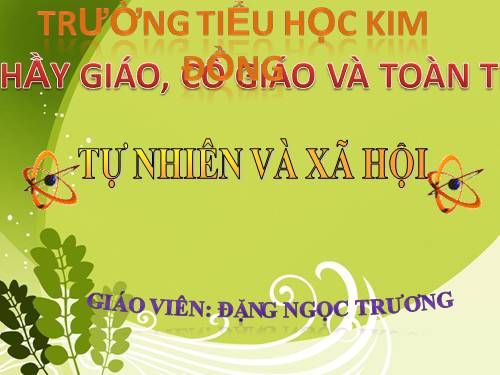 Bài 38. Vệ sinh môi trường (tiếp theo)