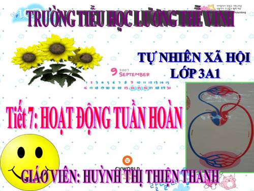 Bài 7. Hoạt động tuần hoàn