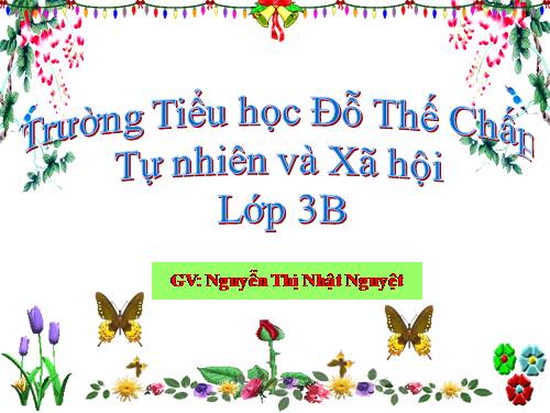 Bài 33. An toàn khi đi xe đạp