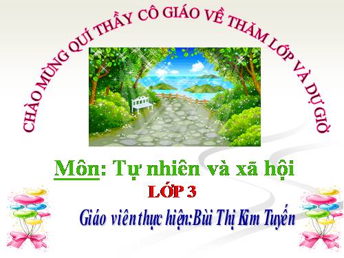 Bài 19. Các thế hệ trong một gia đình