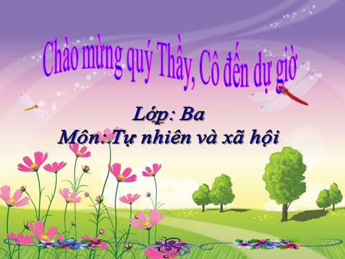 Bài 26. Không chơi các trò chơi nguy hiểm