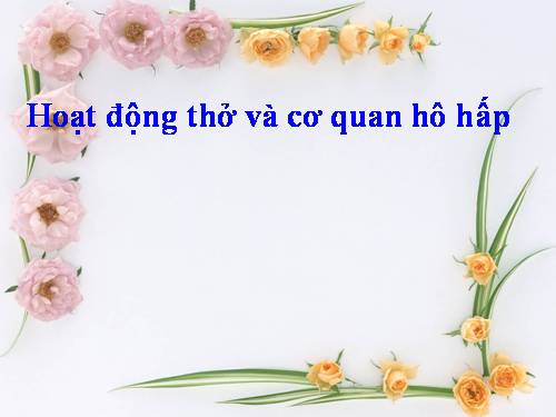 Bài 1. Hoạt động thở và cơ quan hô hấp