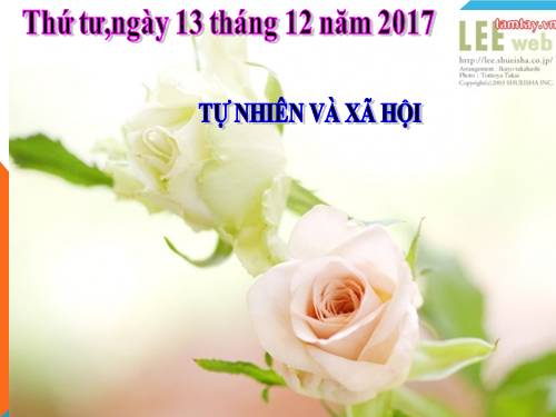 Bài 29. Các hoạt động thông tin liên lạc