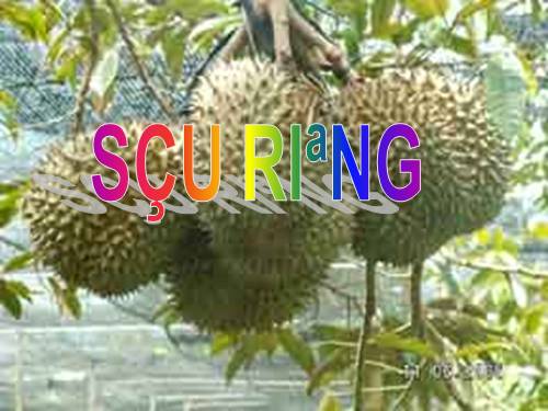 tap doc sau rieng
