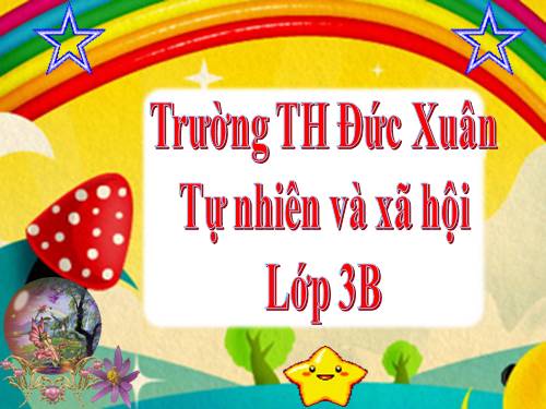 Bài 27-28. Tỉnh (thành phố) nơi bạn đang sống