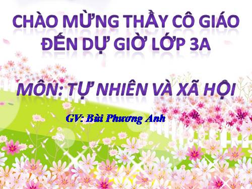 Bài 19. Các thế hệ trong một gia đình