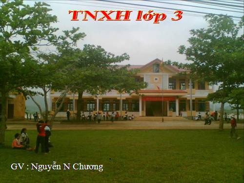 Bài 27-28. Tỉnh (thành phố) nơi bạn đang sống