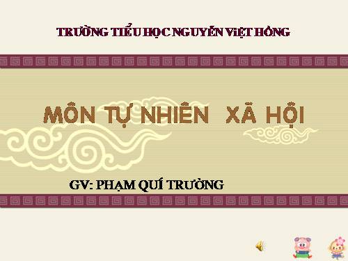 Bài 27-28. Tỉnh (thành phố) nơi bạn đang sống