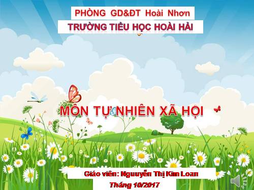 Bài 13. Hoạt động thần kinh