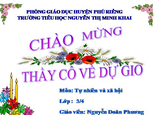 Bài 24. Một số hoạt động ở trường