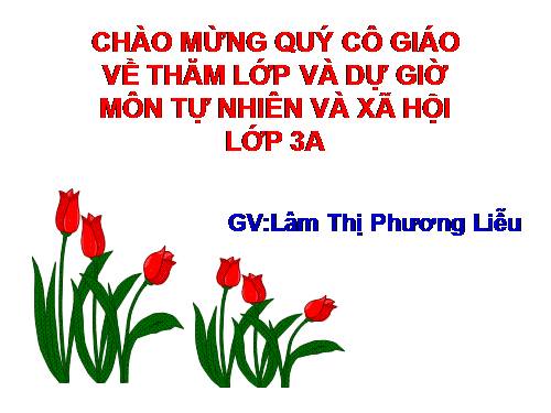 Bài 16. Vệ sinh thần kinh (tiếp theo)