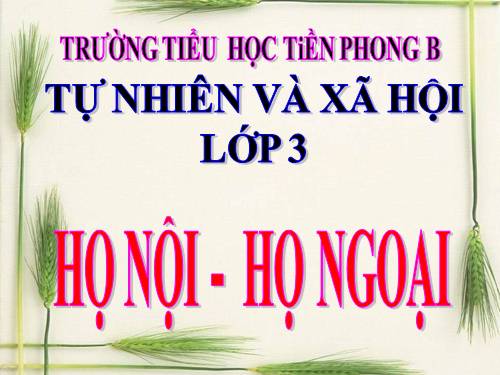 Bài 20. Họ nội, họ ngoại