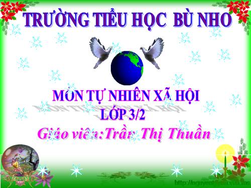 Bài 21-22. Thực hành: Phân tích và vẽ sơ đồ mối quan hệ họ hàng