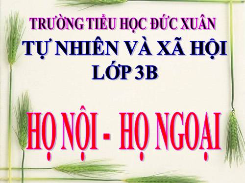 Bài 20. Họ nội, họ ngoại