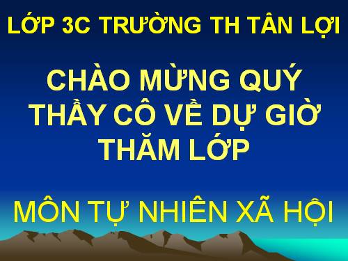 Bài 17-18. Ôn tập: Con người và sức khoẻ