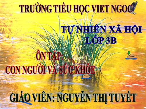 Bài 17-18. Ôn tập: Con người và sức khoẻ