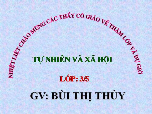 Bài 19. Các thế hệ trong một gia đình