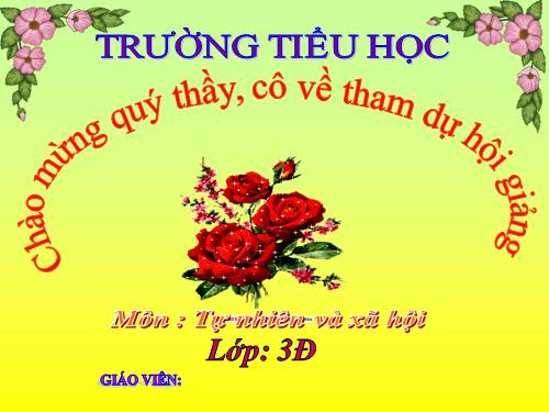 Bài 20. Họ nội, họ ngoại