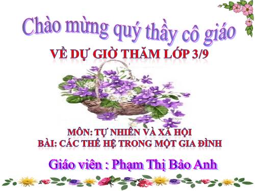 Bài 19. Các thế hệ trong một gia đình