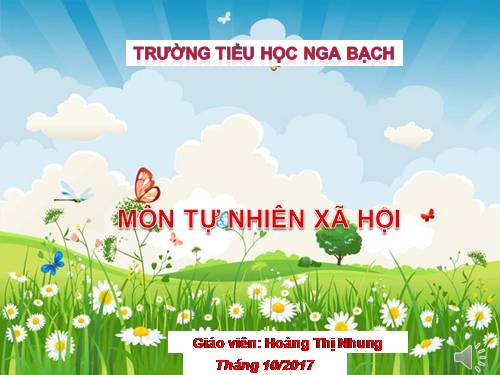 Bài 13. Hoạt động thần kinh