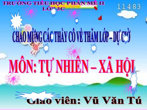 Bài 19. Các thế hệ trong một gia đình