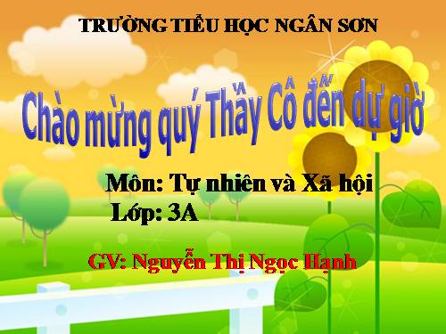 Bài 15. Vệ sinh thần kinh