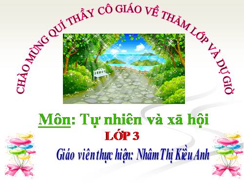 Bài 19. Các thế hệ trong một gia đình