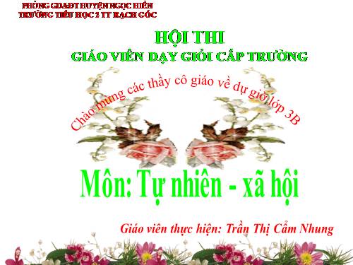 Bài 14. Hoạt động thần kinh (tiếp theo)