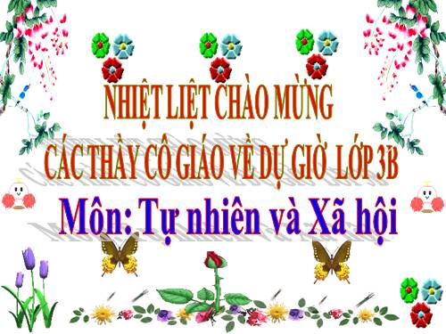 Bài 46. Khả năng kì diệu của lá cây