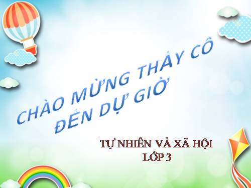 Bài 4. Phòng bệnh đường hô hấp